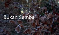Bukan Sembarang Menu Lebaran, Ini Makna Filosofis Ketupat