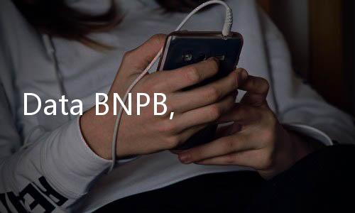 Data BNPB, Ancol Aman dari Gelombang Tinggi