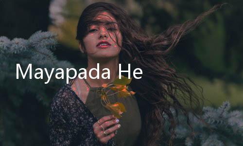 Mayapada Healthcare Perdalam Kemitraan dengan Apollo Hospitals India