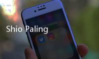 Shio Paling Hoki di Tahun Ular Kayu 2025